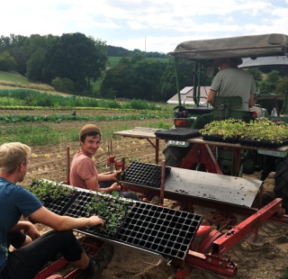 Gemüseanbau im Freiland Gemüseanbau im Freiland