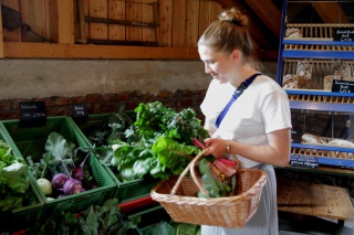 Bio-Gemüse im Hofladen Bio-Gemüse im Hofladen
