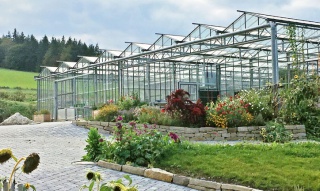 Bio-Gemüse aus 1000 qm Glasgewächshaus und 3ha Freiland Bio-Gemüse aus 1000 qm Glasgewächshaus und 3ha Freiland